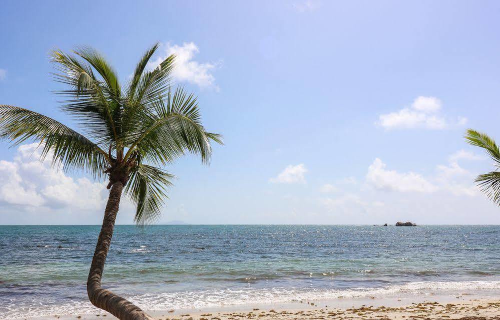 The Plaza Suites Humacao Eksteriør billede